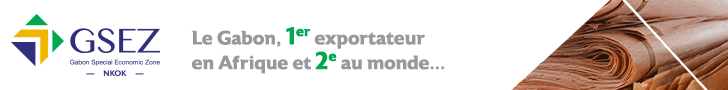 Banière GSEZ
